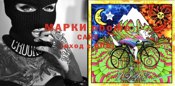 стаф Алзамай