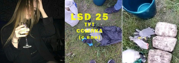 стаф Алзамай