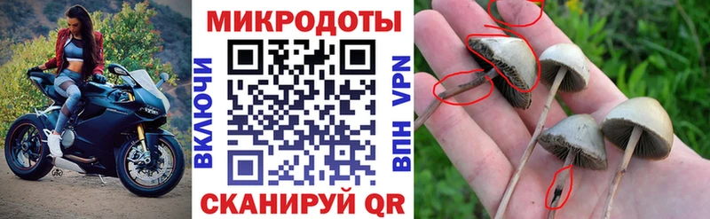 Псилоцибиновые грибы мухоморы кракен tor Тольятти что такое